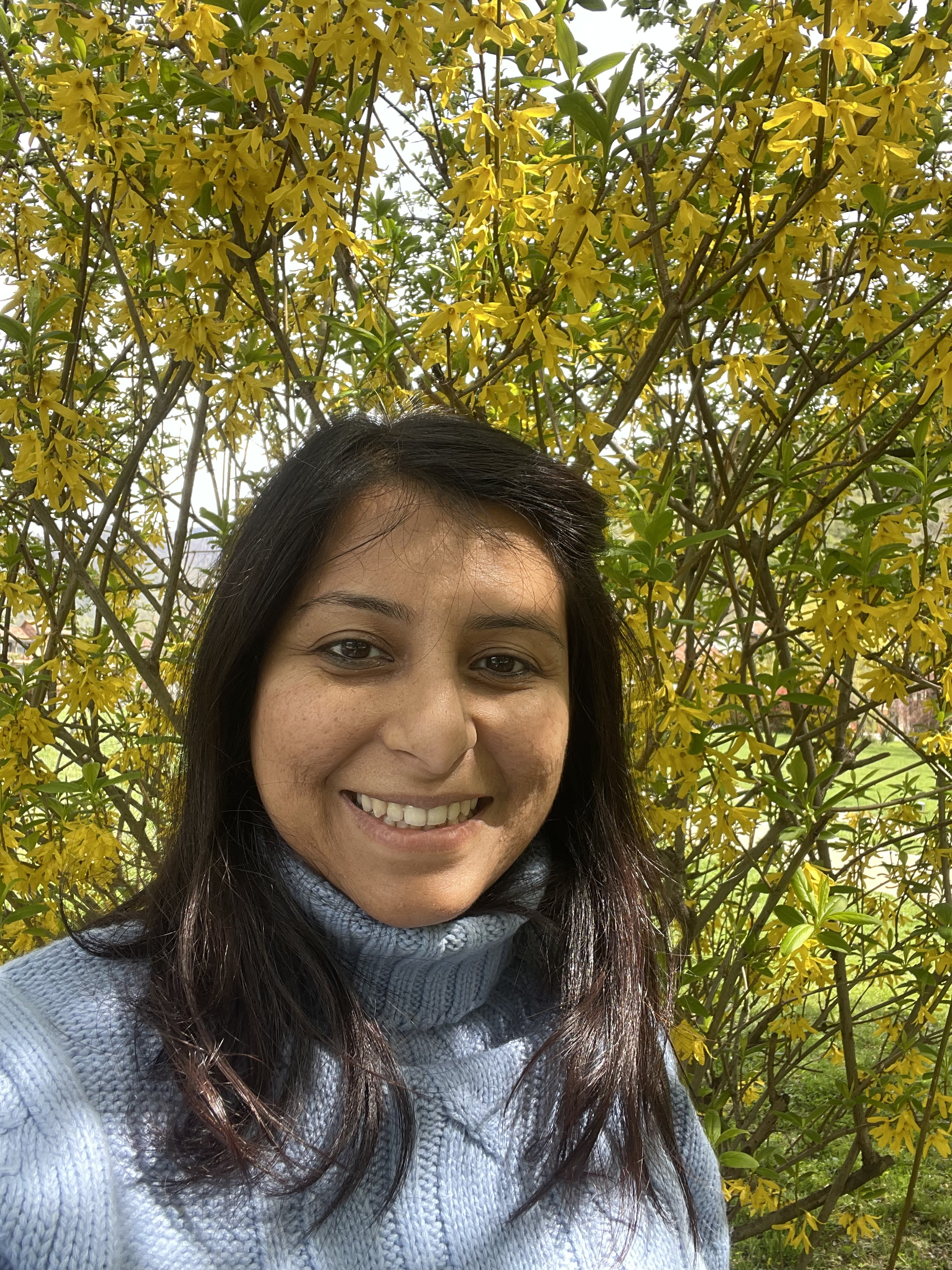 Amanda periera dsouza